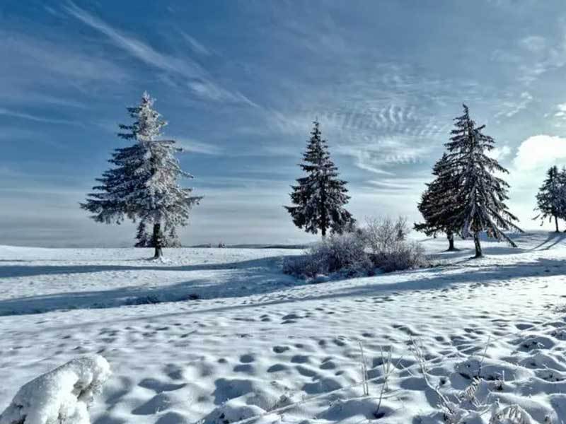 公司研发新型投影仪画面清晰z6尊龙网站登